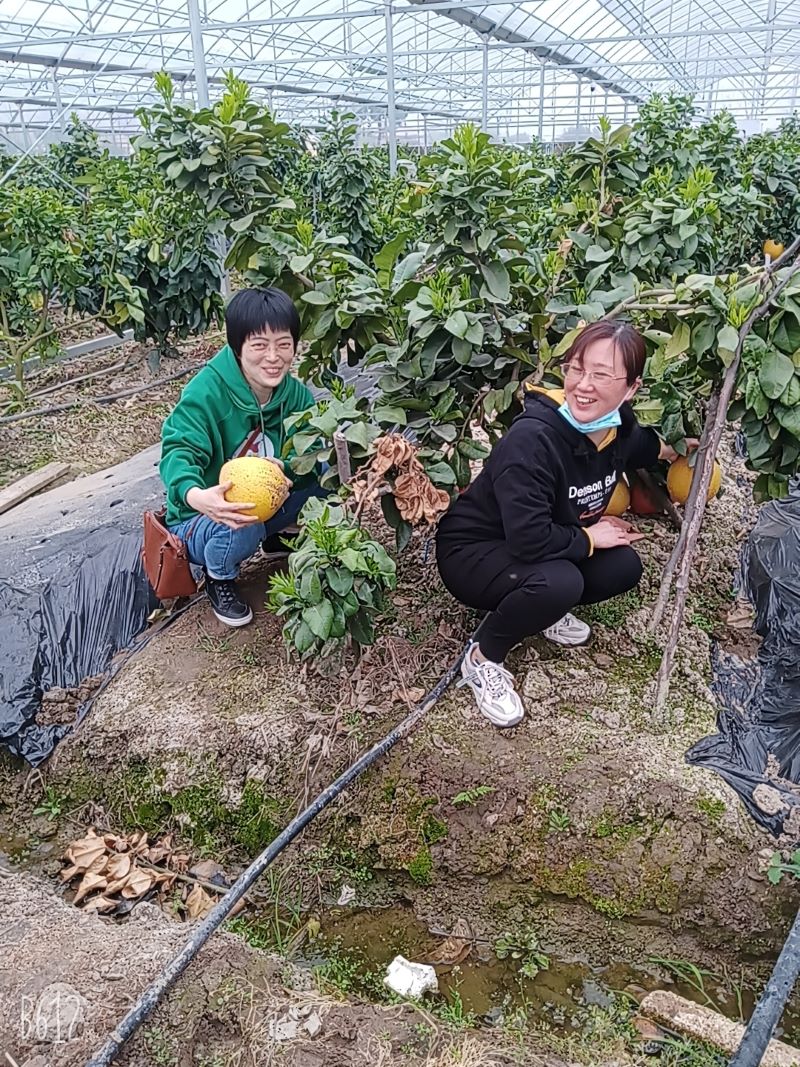 芜湖分公司妇女节003.jpg